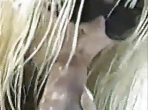 Die nackten nassen Titten und Fotze, Denise Richards Kostenlose pornoflme aus dem Wasser