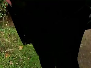Die zwei maskierten Männer, tragen eine große erotikfilme Frau in einem Hotelzimmer.